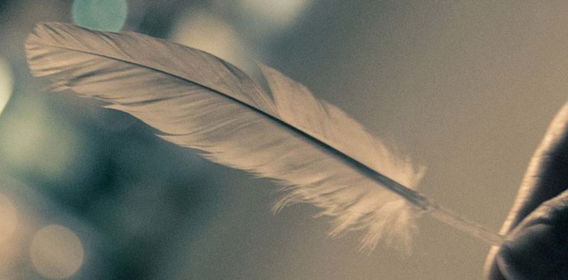 Come possiamo ottimizzare WordPress? Come possiamo ottimizzare WordPress?