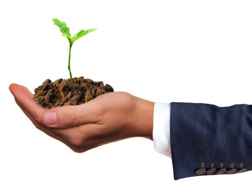 Digitalizzazione Pacchetti completi e personalizzati - Business to Business